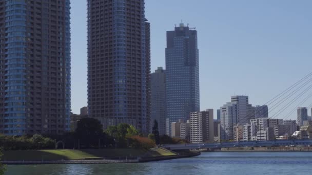 Japón Tokio Otoño Video Clip — Vídeos de Stock