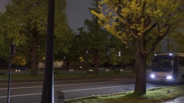 Japonya Tokyo Sonbaharı, video klibi