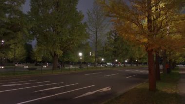 Japonya Tokyo Sonbaharı, video klibi