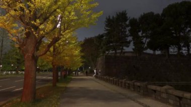 Japonya Tokyo Sonbaharı, video klibi