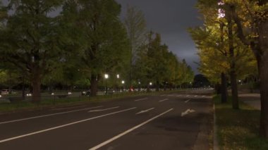 Japonya Tokyo Sonbaharı, video klibi