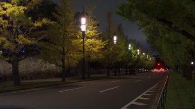 Japonya Tokyo Sonbaharı, video klibi