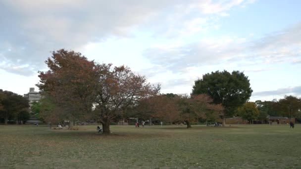 Japon Tokyo Automne, clip vidéo