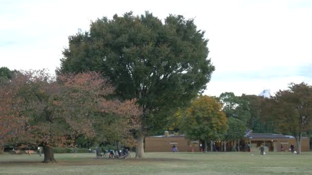 Japon Tokyo Automne, clip vidéo