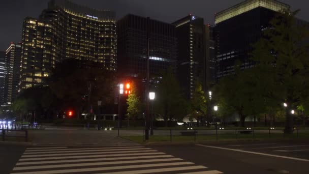 Japón Tokio Otoño Video Clip — Vídeo de stock