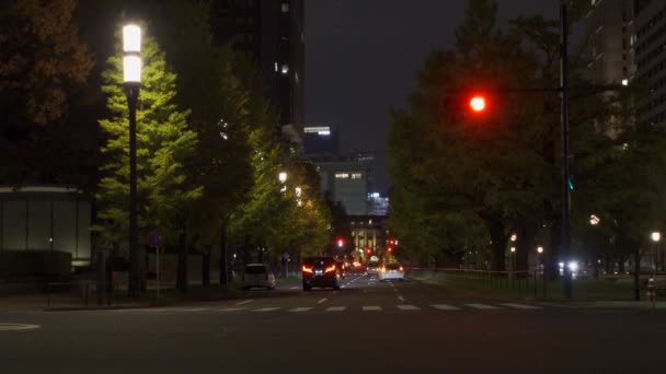 Япония Токио Автум Видеоклип — стоковое видео