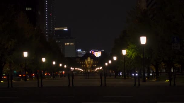 Japonia Tokyo Toamna Clip Video — Videoclip de stoc