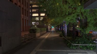 Japonya Tokyo Sonbaharı, video klibi