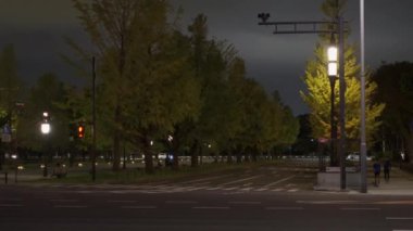 Japonya Tokyo Sonbaharı, video klibi