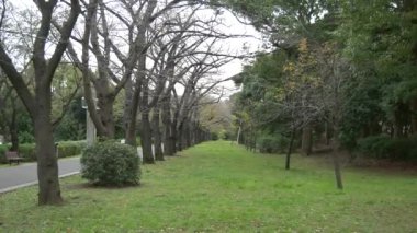 Japonya Tokyo Sonbaharı, video klibi