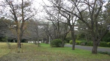 Japonya Tokyo Sonbaharı, video klibi