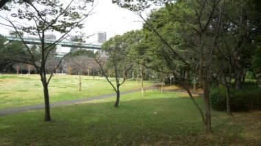 Japonya Tokyo Sonbaharı, video klibi