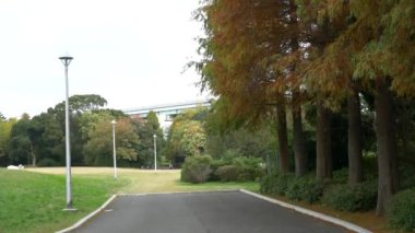 Japonya Tokyo Sonbaharı, video klibi