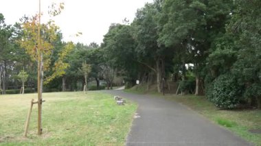 Japonya Tokyo Sonbaharı, video klibi