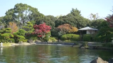 Japonya Tokyo Sonbaharı, video klibi