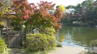 Japonya Tokyo Sonbaharı, video klibi