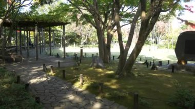 Japonya Tokyo Sonbaharı, video klibi