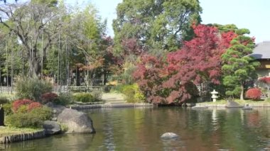 Japonya Tokyo Sonbaharı, video klibi