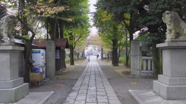 Japón Tokio Otoño Video Clip — Vídeo de stock