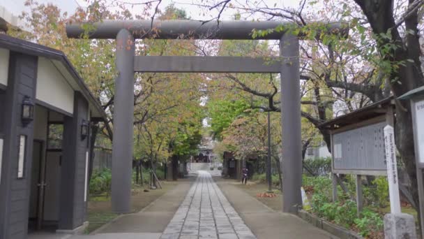 Japón Tokio Otoño Video Clip — Vídeo de stock