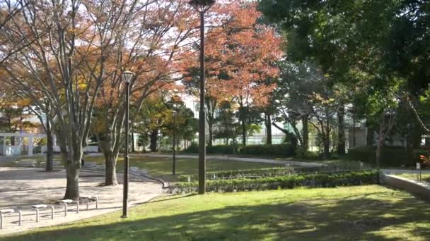 Japan Tokyo Autumn Video Clip — Stock Video