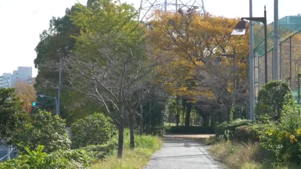 Japan Tokio Herbst Videoclip — Stockvideo