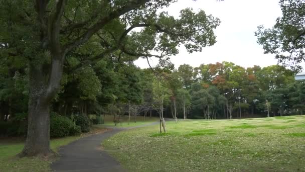 Japan Tokyo Autumn Video Clip — стокове відео