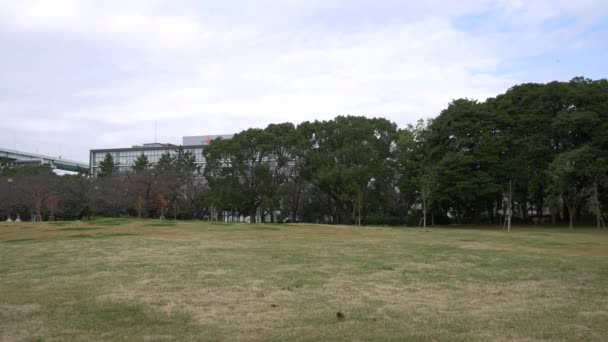 Japón Tokio Otoño Video Clip — Vídeo de stock