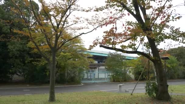 Japonya Tokyo Sonbaharı Video Klibi — Stok video