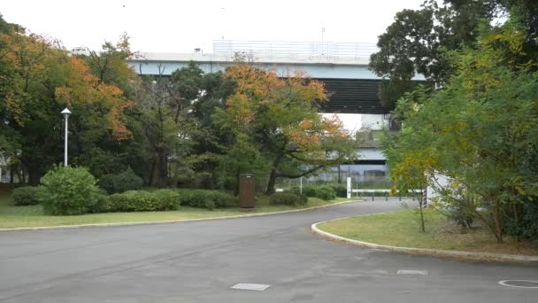 Japan Tokio Herfst Videoclip — Stockvideo