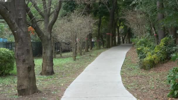 Japón Tokio Otoño Video Clip — Vídeo de stock