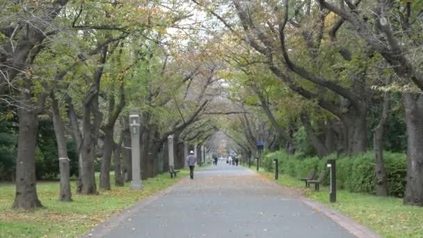 Japão Tóquio Outono Videoclipe — Vídeo de Stock