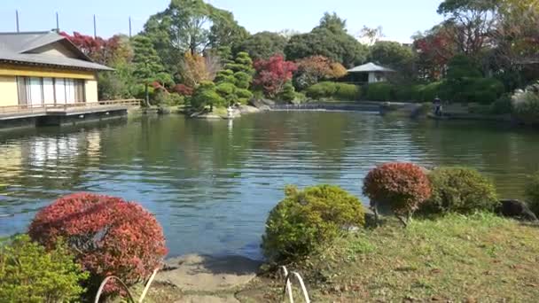 Japão Tóquio Outono Videoclipe — Vídeo de Stock