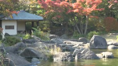 Japonya Tokyo Sonbaharı, video klibi