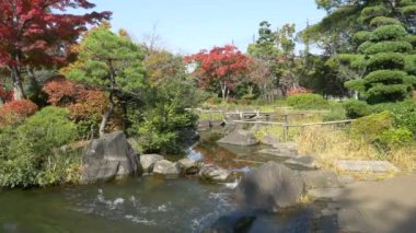 Japonya Tokyo Sonbaharı, video klibi