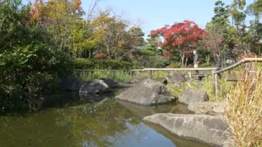 Japonya Tokyo Sonbaharı, video klibi