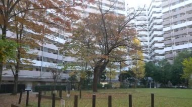 Japonya Tokyo Sonbaharı, video klibi