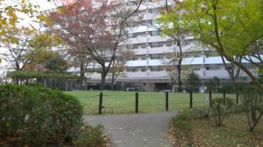 Japonya Tokyo Sonbaharı, video klibi