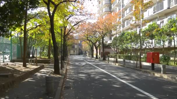 Japon Tokyo Automne Clip Vidéo — Video