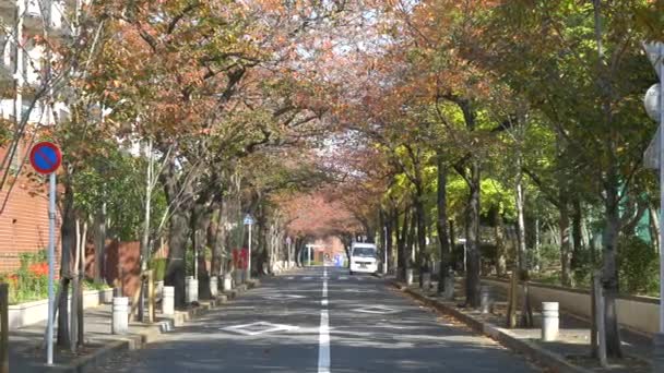 Japón Tokio Otoño Video Clip — Vídeo de stock