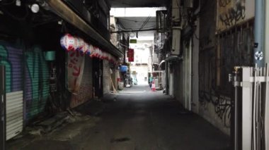 Ameyoko Alışveriş Caddesi, Japonya Tokyo