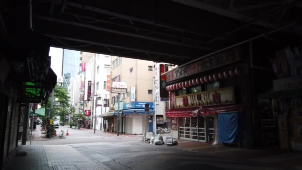 Einkaufsstraße Ameyoko Japan Tokio — Stockvideo