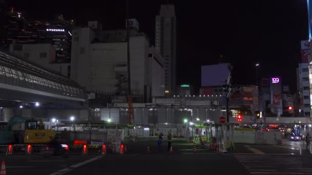 日本的石谷 东京夜景 — 图库视频影像