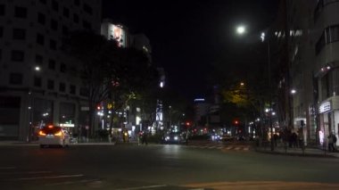 Shinjuku Japonya 'da, Tokyo Gece Manzarası