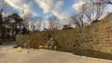 Tokyo Shinjuku Central Park Peyzajı