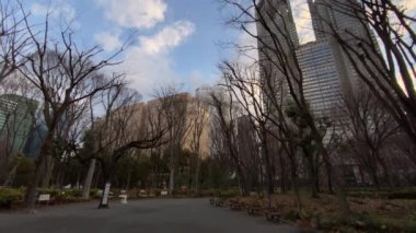 Tokyo Shinjuku Central Park Peyzajı