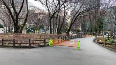 Tokyo Shinjuku Central Park Peyzajı