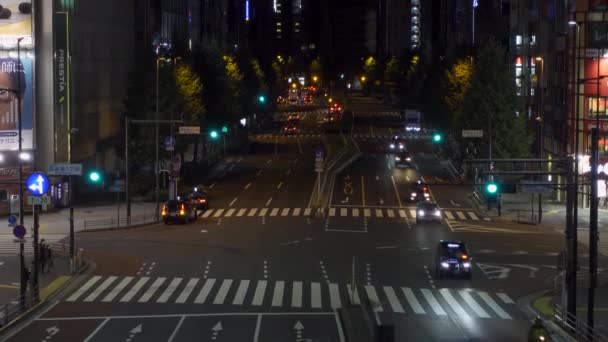 Shinjuku Japonya Tokyo Gece Manzarası — Stok video