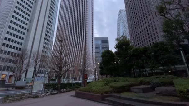 Shinjuku Tokyo Japan Landscape Day — Video Stock