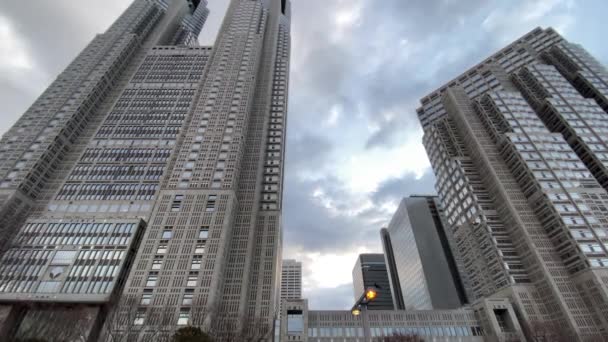 신주쿠 도쿄의 풍경의 — 비디오